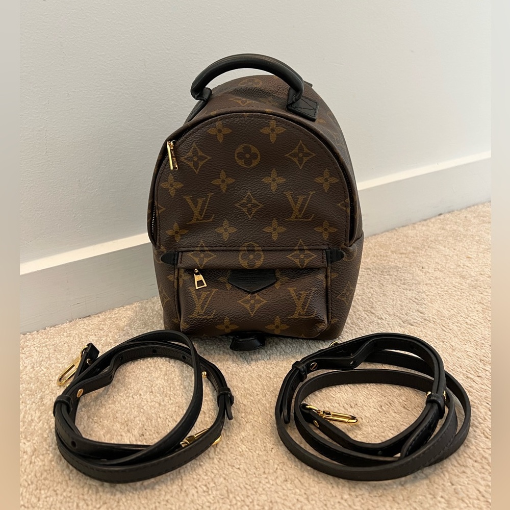 Louis Vuitton Palm Springs Mini Backpack
